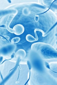 S¿COMO LE MEJORO EL SEMEN? ¿COMO LE MEJORO EL SEMEN?