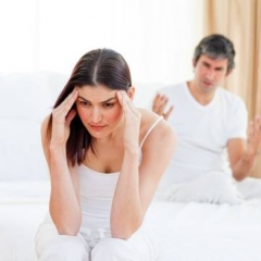 ¿QUIÉN MANDA EN LA CASA? ¿QUIÉN MANDA EN LA CASA?
