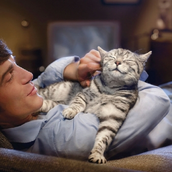 ¿SON PELIGROSOS LOS GATOS? 