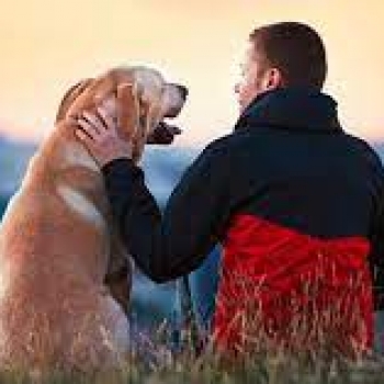 TRATA MEJOR A LOS PERROS QUE A SU MADRE