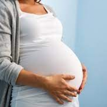 ¿SIN REGLA NO HAY EMBARAZO?