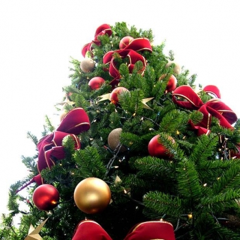 HOY ES NAVIDAD. HOY ES NAVIDAD.